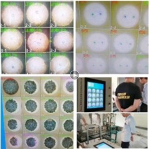 机器视觉自动完美体育·完美登陆入口-完美online（中国）
烟花质量   声光停机三重报警安全隐患