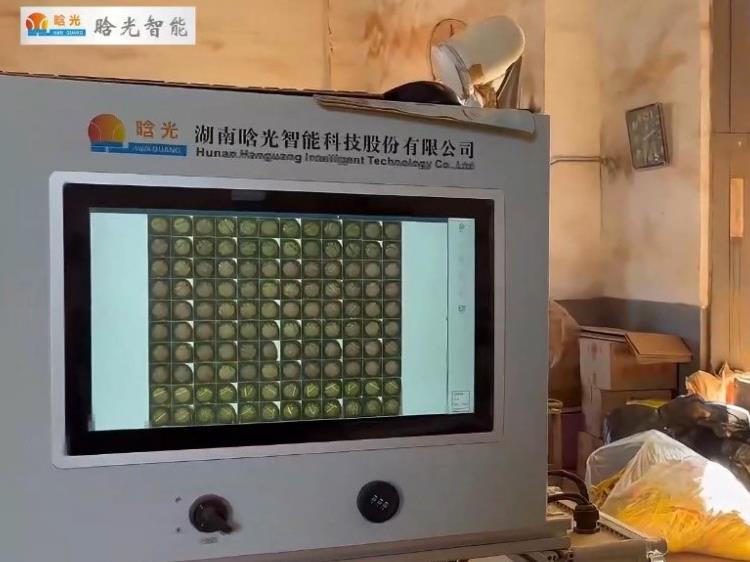 纸管烟花坨完美体育·完美登陆入口-完美online（中国）
